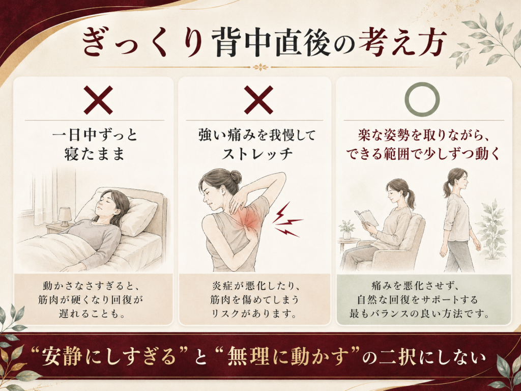 活動歴および当時の関連ビジュアル記録