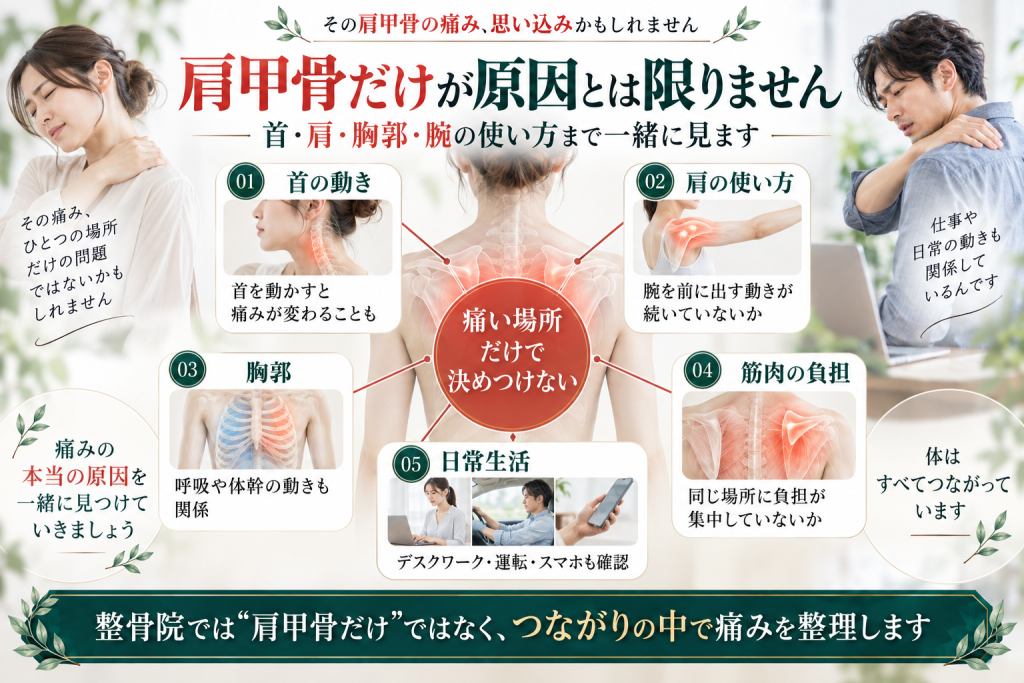 肩甲骨の痛みは肩甲骨だけでなく首、肩、胸郭、筋肉の負担、日常生活も関係することを示した図解画像