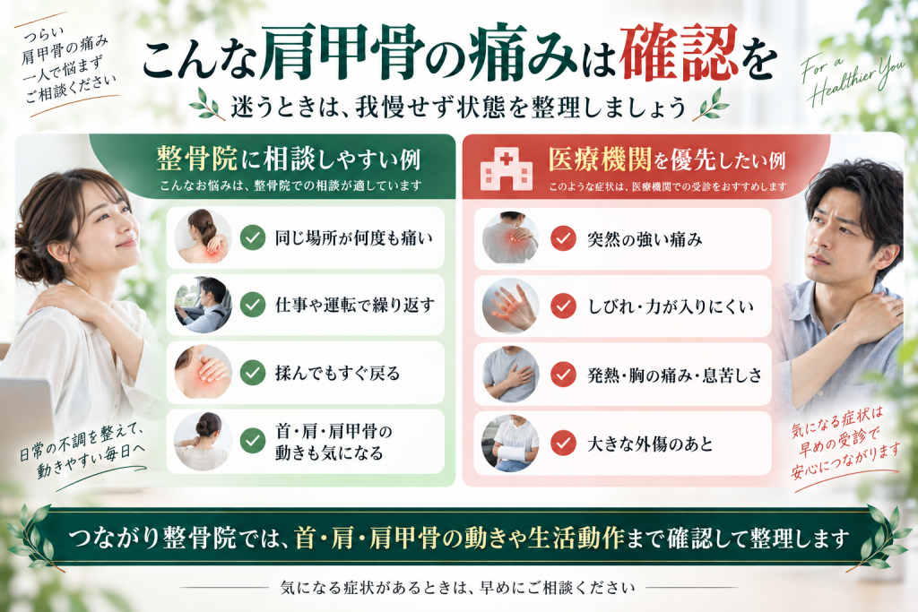 肩甲骨の痛みで整骨院に相談しやすい例と医療機関を優先したい例を比較した案内画像