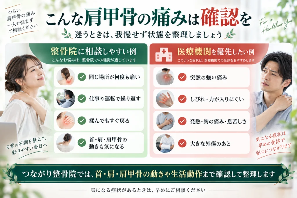 肩甲骨の痛みで整骨院に相談しやすい例と医療機関を優先したい例を比較した案内画像