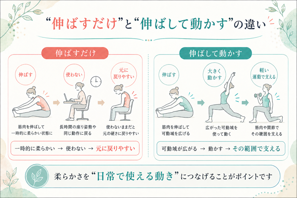 ストレッチで伸ばすだけの場合と伸ばした後に動かして使う場合の違いを比較した図