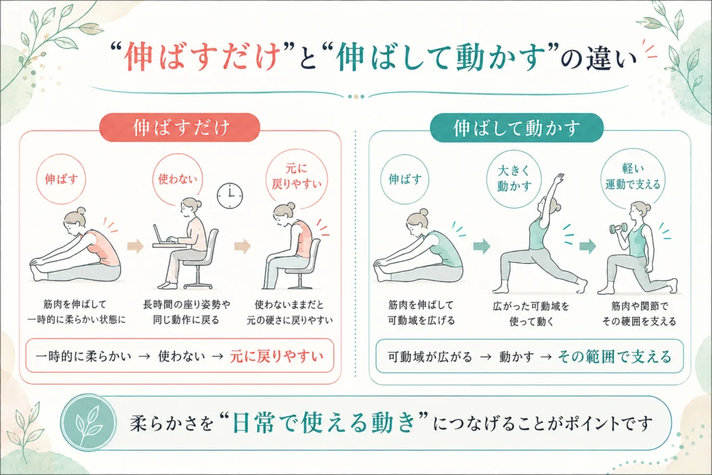 ストレッチで伸ばすだけの場合と伸ばした後に動かして使う場合の違いを比較した図
